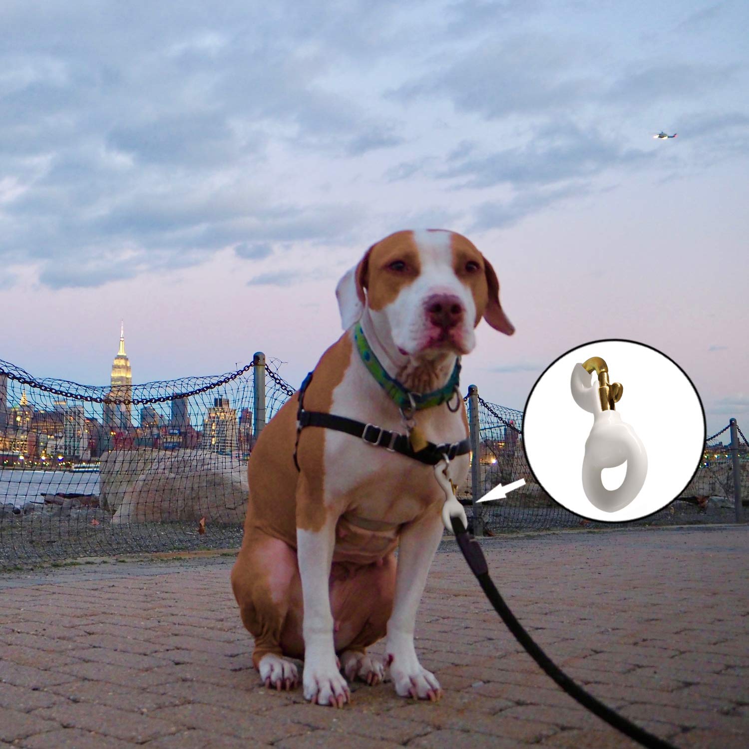 Pet leash attachment option using Anley flag accessory clip