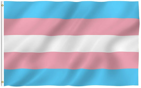 ANLEY Fly Breeze 3x5ft transgender flag with brass grommets for durable outdoor display.