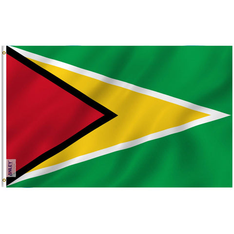 ANLEY Fly Breeze Guyana flag 3x5-foot with fade-proof colors for outdoor display