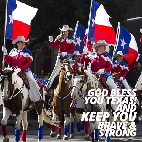 Anley Fly Breeze 3x5 Texas flag brass grommets for easy mounting.