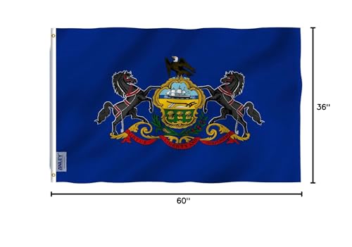 Anley Pennsylvania flag packaging showing one 3x5 flag included
