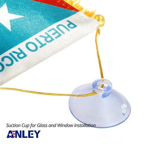 Anley fringed flag with suction cup mount enables easy window display.