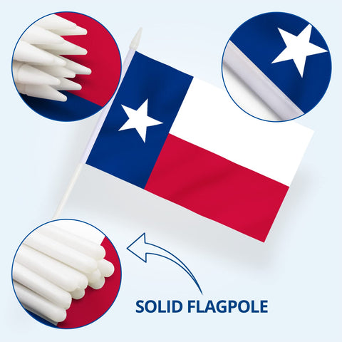 Anley Texas State mini flag in parade display with bright print.