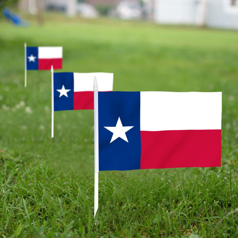 Anley Texas State mini flag with spear-top detail for sturdy parades.