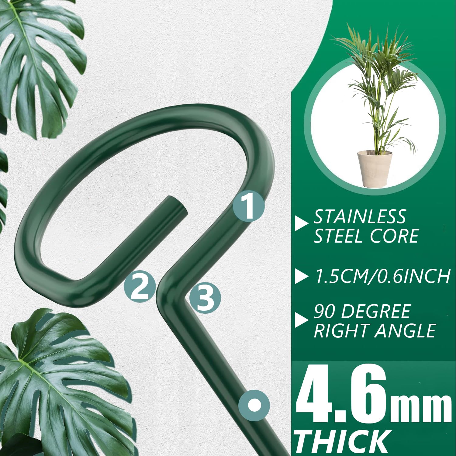 ANLLECR six-pack with clips keeps stems upright and organized.
