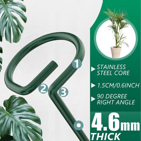 ANLLECR six-pack with clips keeps stems upright and organized.