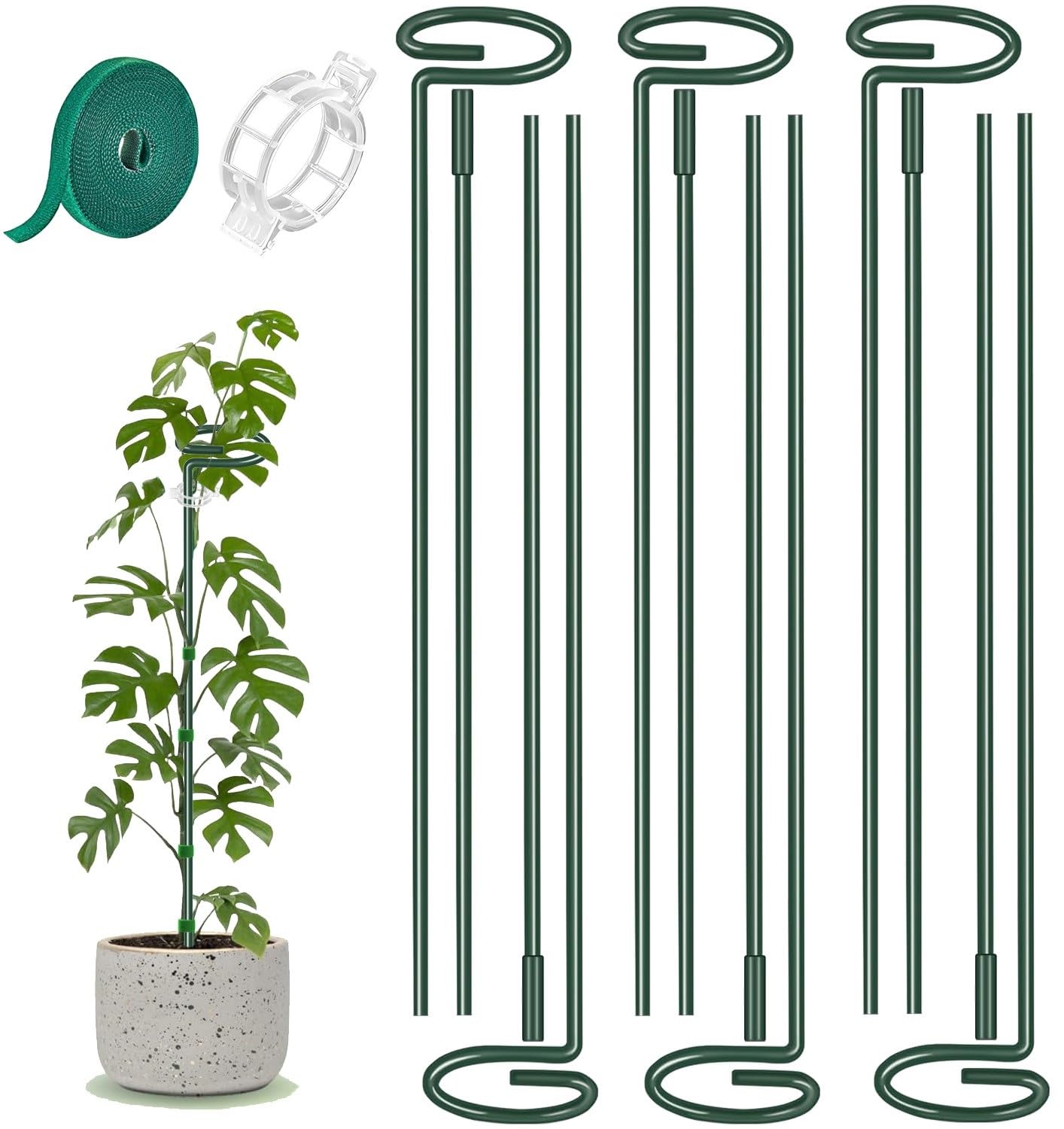 ANLLECR extendable plant stake 12-24 inch provides strong support for climbing plants.