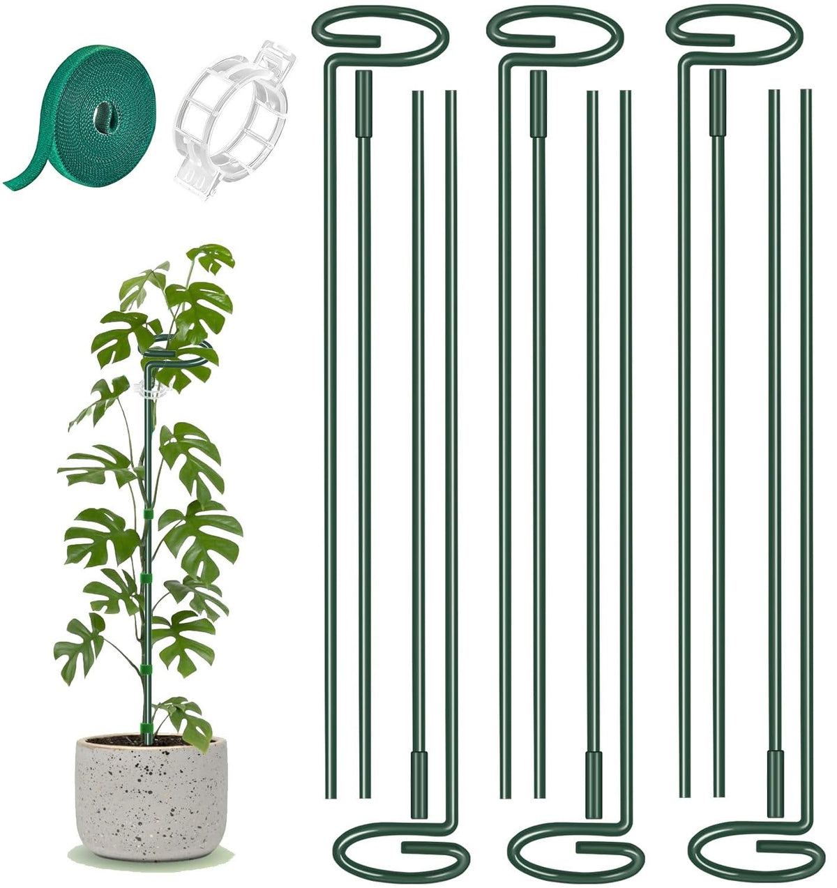 ANLLECR extendable plant stake 12-24 inch provides strong support for climbing plants.