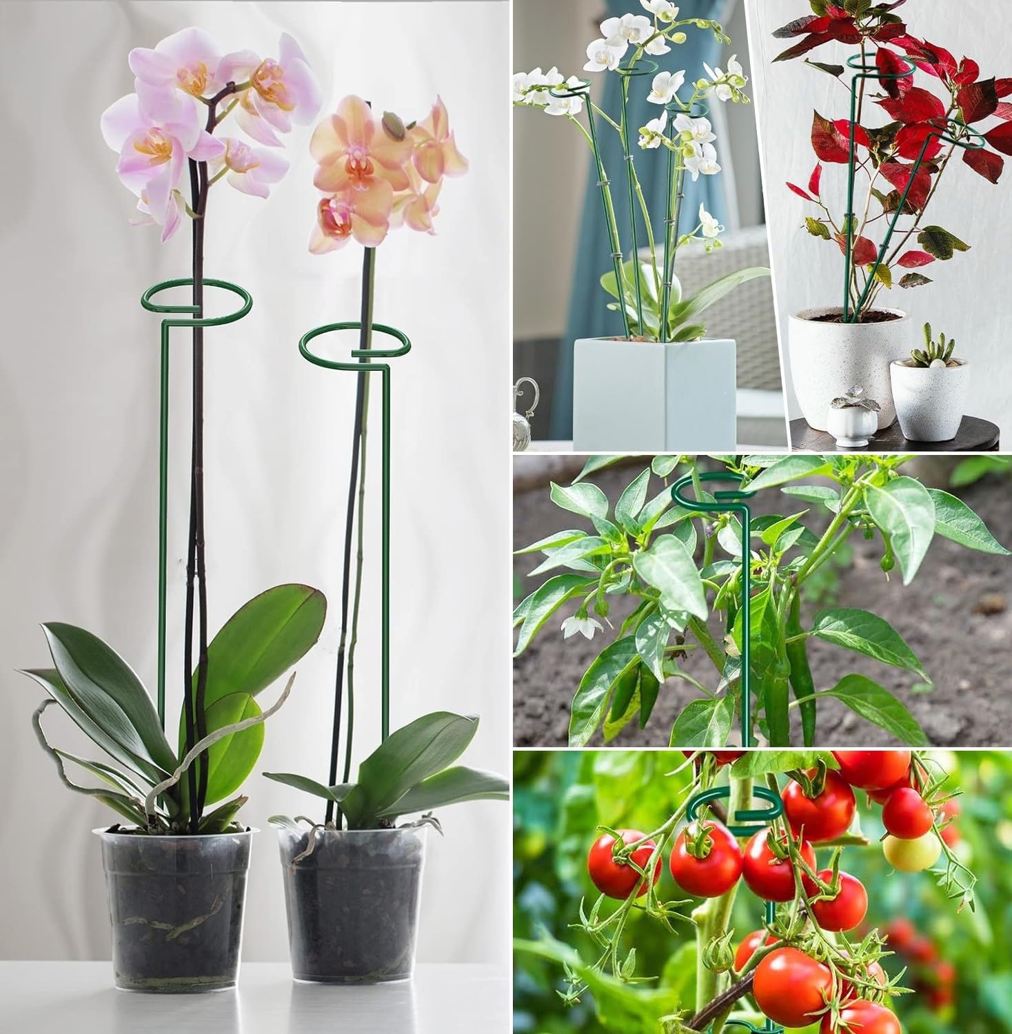 Easy setup: insert into soil, clip stems, adjust position.
