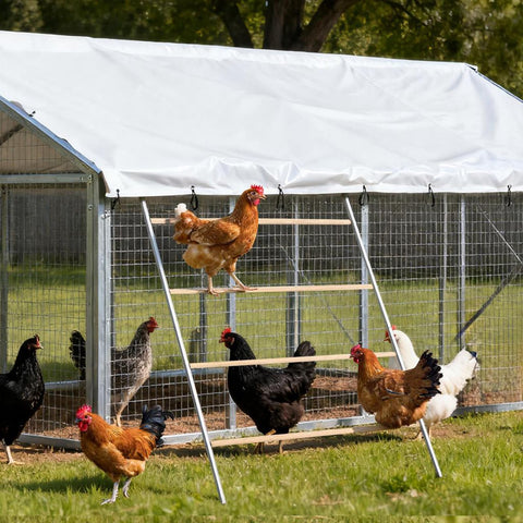 ANNDING interactive chicken ladder perch encourages climbing and natural roosting behaviors