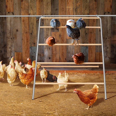 ANNDING chicken roosting bars swing ladder detail highlighting design