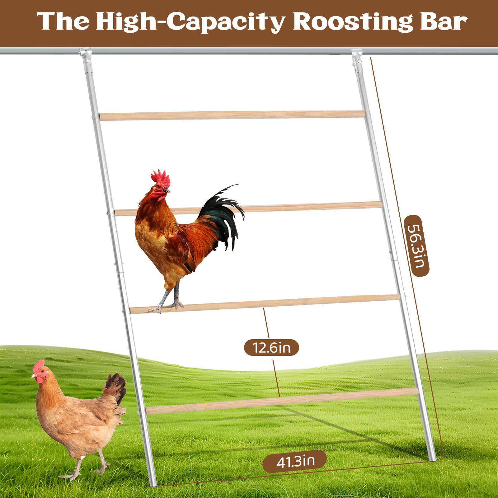 ANNDING 55-inch chicken perch with metal frame supports multiple hens comfortably