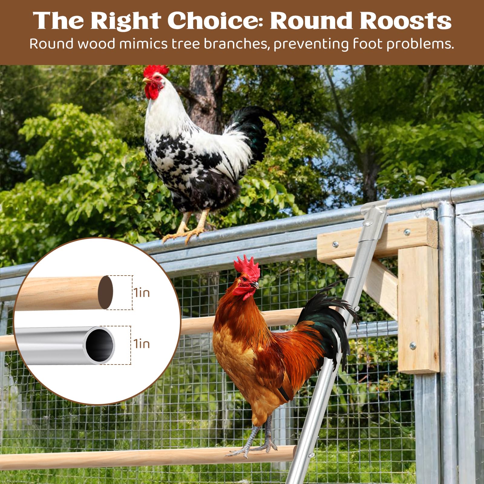 ANNDING rust-resistant galvanized steel frame and solid wood roost endure outdoor coop use