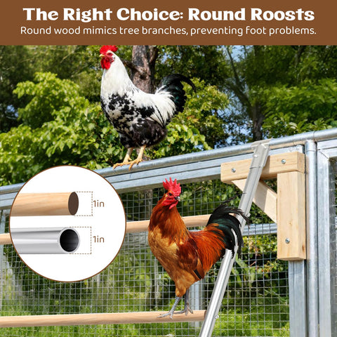 ANNDING rust-resistant galvanized steel frame and solid wood roost endure outdoor coop use