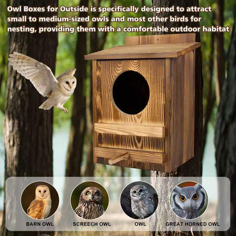 AnNowshua Ling 5-inch entrance hole allows easy access for small owls.