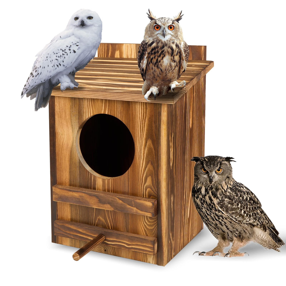 AnNowshua Ling Owl Nesting Box exterior shows durable carbonized wood for wildlife habitats