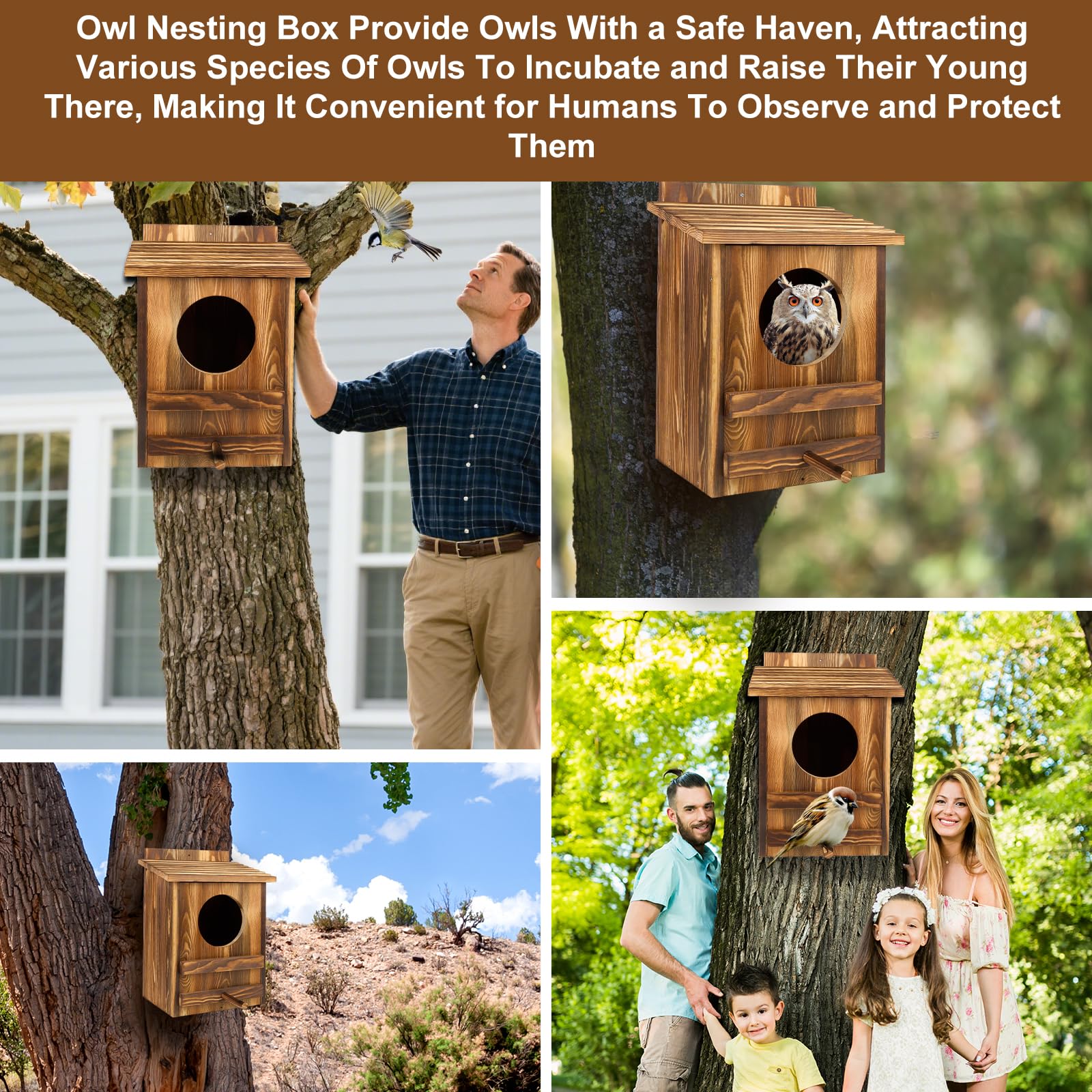 AnNowshua Ling spacious interior supports nesting and roosting for owls
