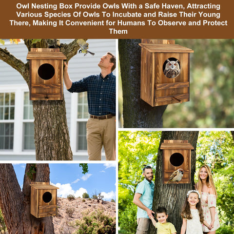 AnNowshua Ling spacious interior supports nesting and roosting for owls