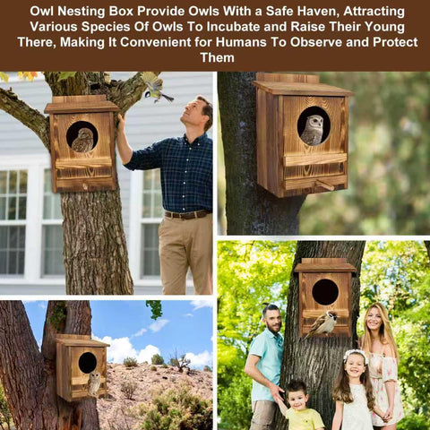 AnNowshua Ling owl house ventilated side holes promote airflow and dry interiors.
