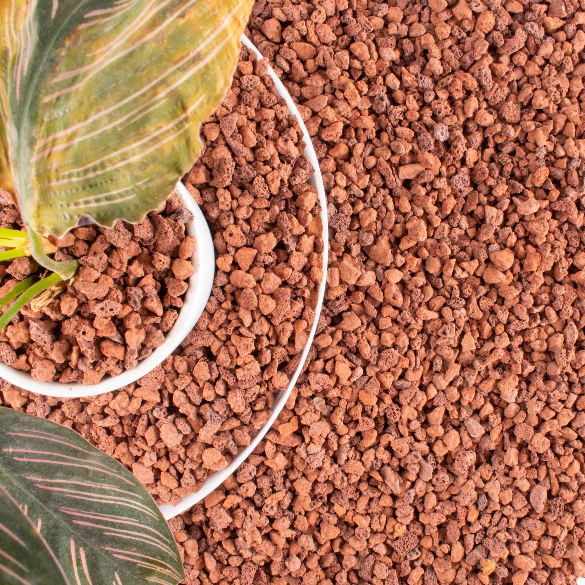 Anothera 14lb red lava rock for plants, enhancing drainage and mineral availability.