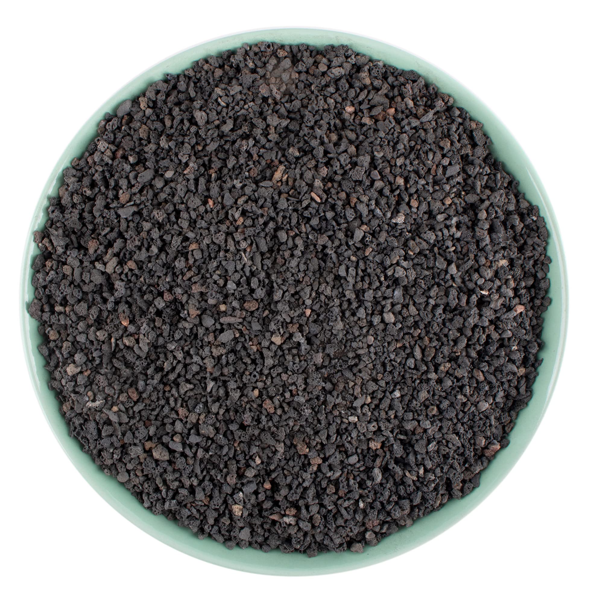 Anothera 3lb Black Lava Rock front view showing porous texture for drainage