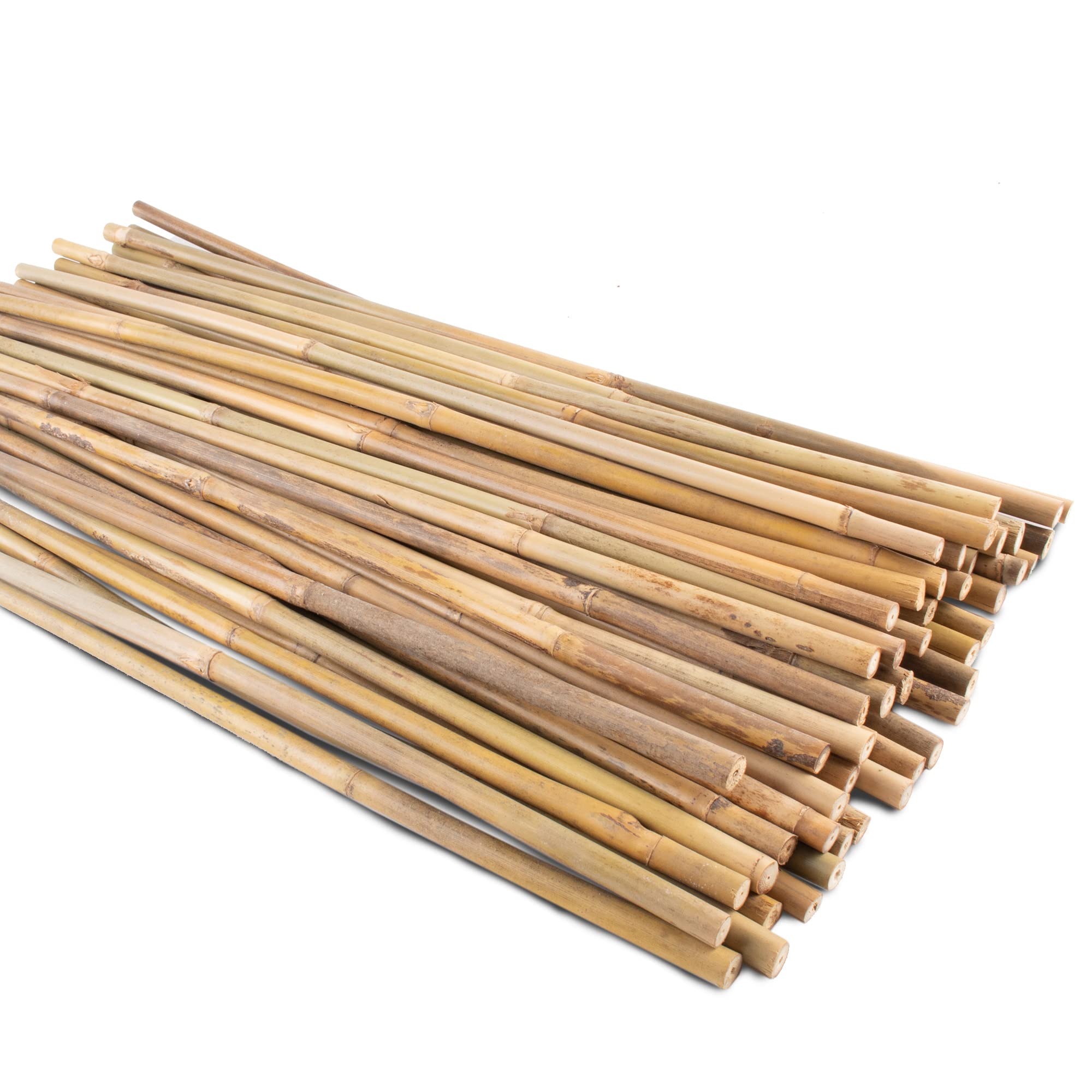 Anothera 50-pack bamboo garden stakes in packaging, ideal for quick garden setup.