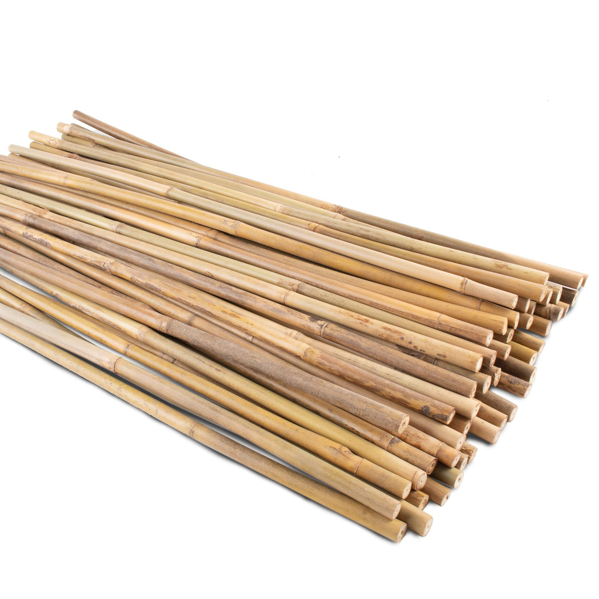Anothera 50-pack bamboo garden stakes in packaging, ideal for quick garden setup.