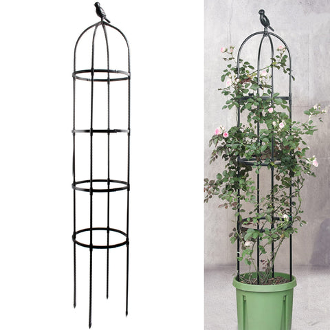 Anothera 6ft garden obelisk trellis, easy assembly for vertical gardening.