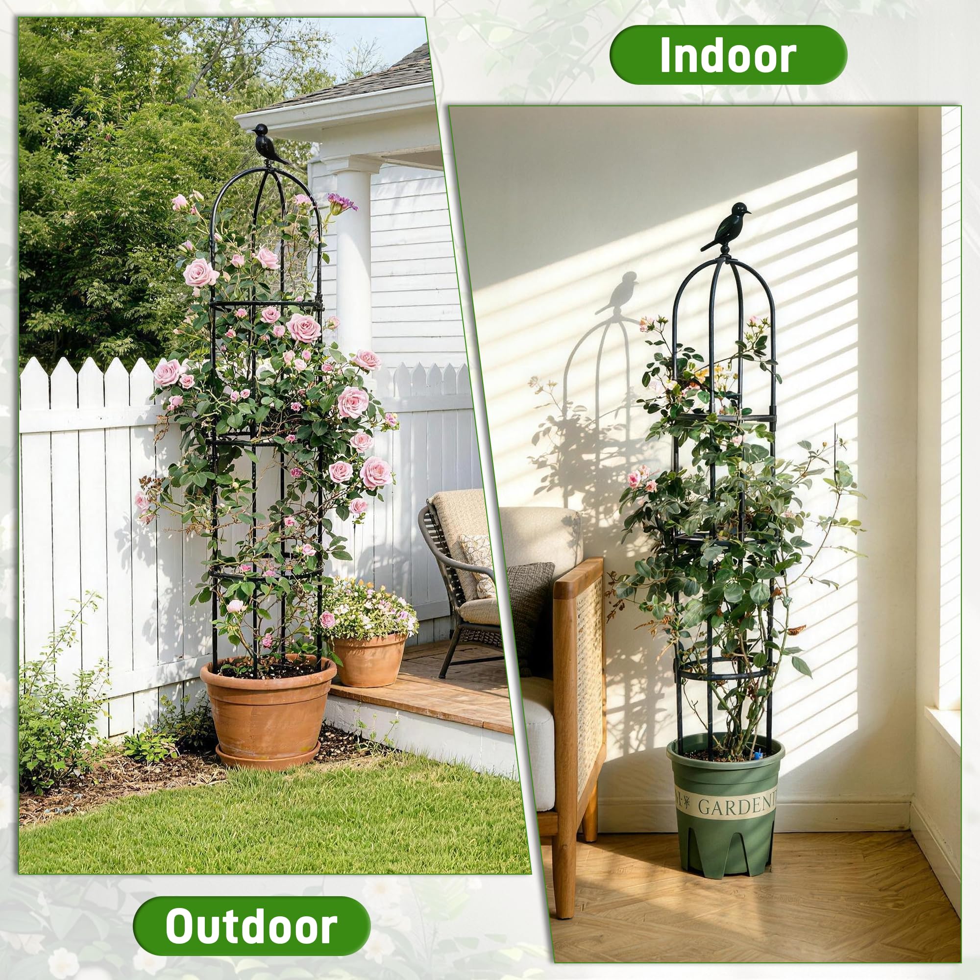 Anothera 6ft tall obelisk supports tall climbers.