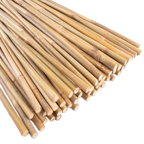 Anothera bamboo stakes 4ft pack provides sturdy plant support for tomatoes and beans.