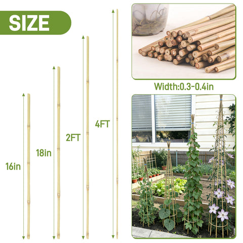Anothera bamboo stake closeup shows natural texture and durable construction.