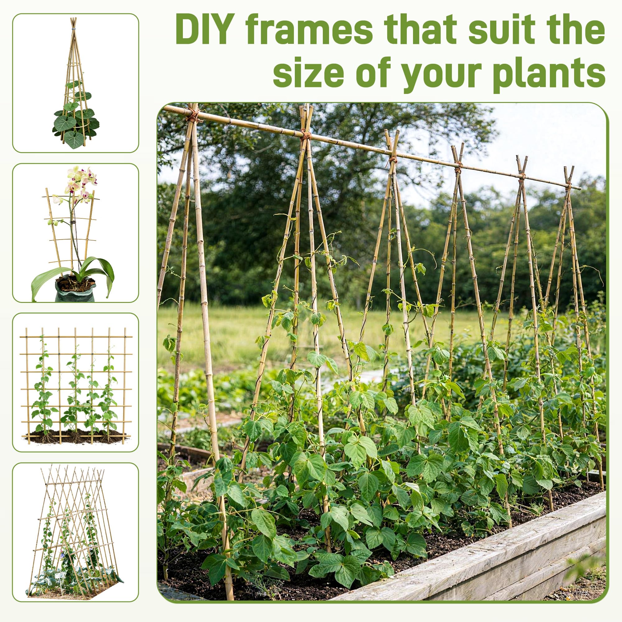 Anothera outdoor garden scene with bamboo stakes keeps plants upright.