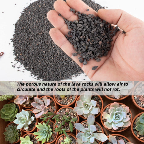 Anothera black lava rock top dressing for planters improves drainage