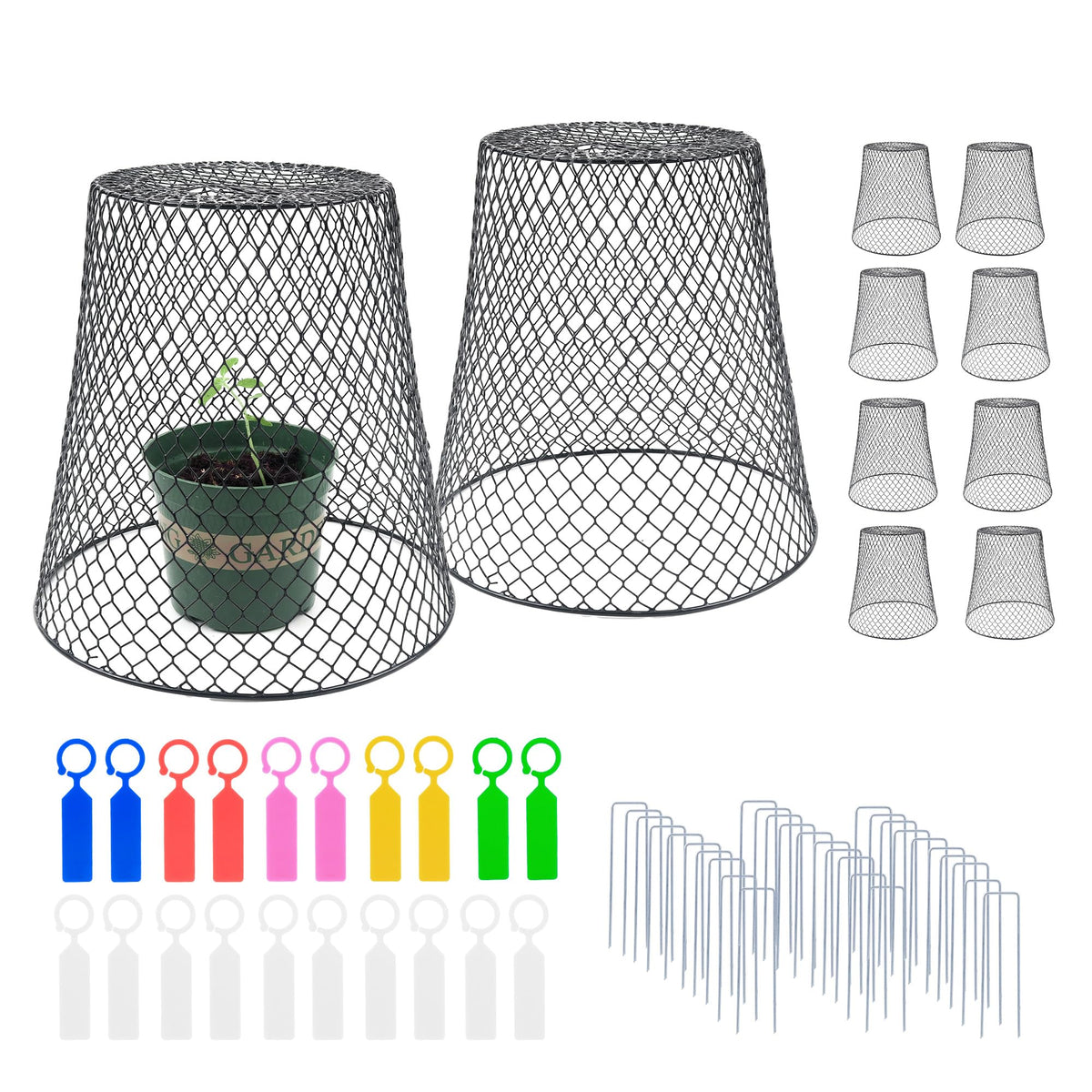 Anothera chicken wire cloche set shields plants from critters