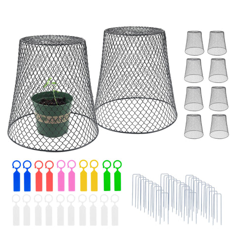 Anothera chicken wire cloche set shields plants from critters