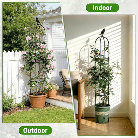 Anothera trellis suitable for clematis, jasmine, and roses