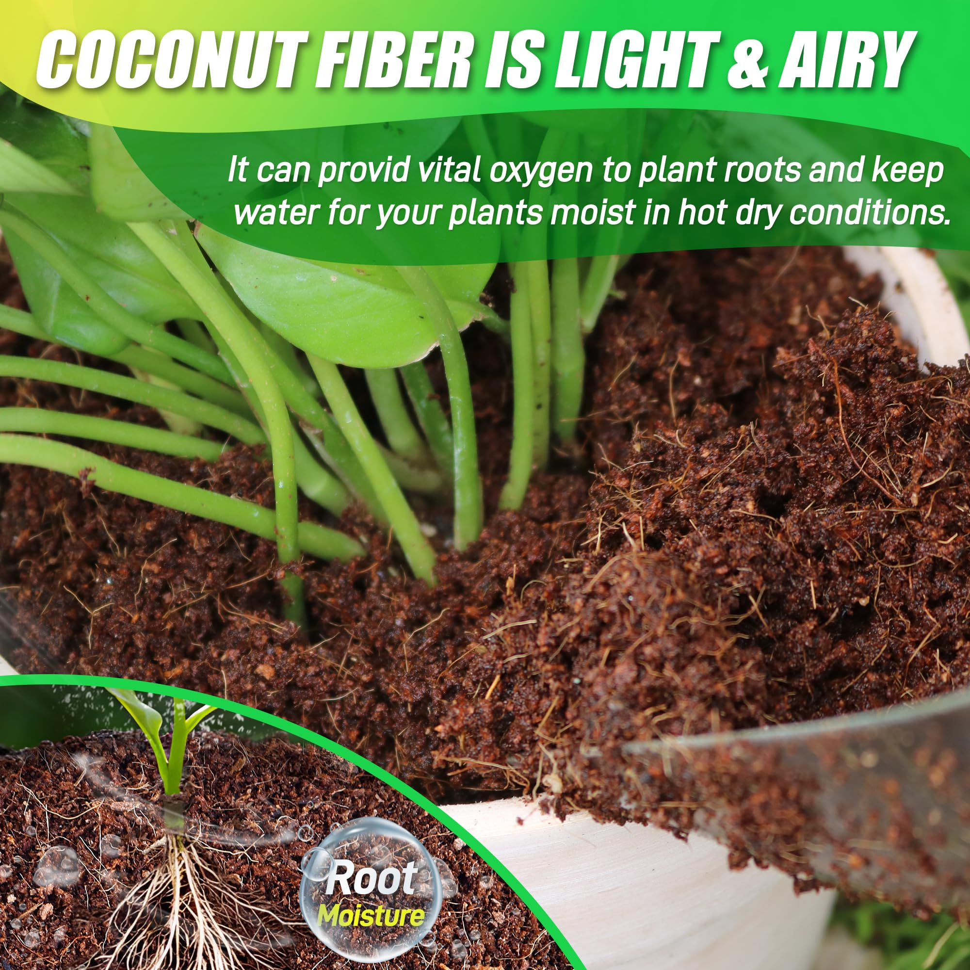 Anothera Coco Coir Brick is heat-treated for clean planting media.