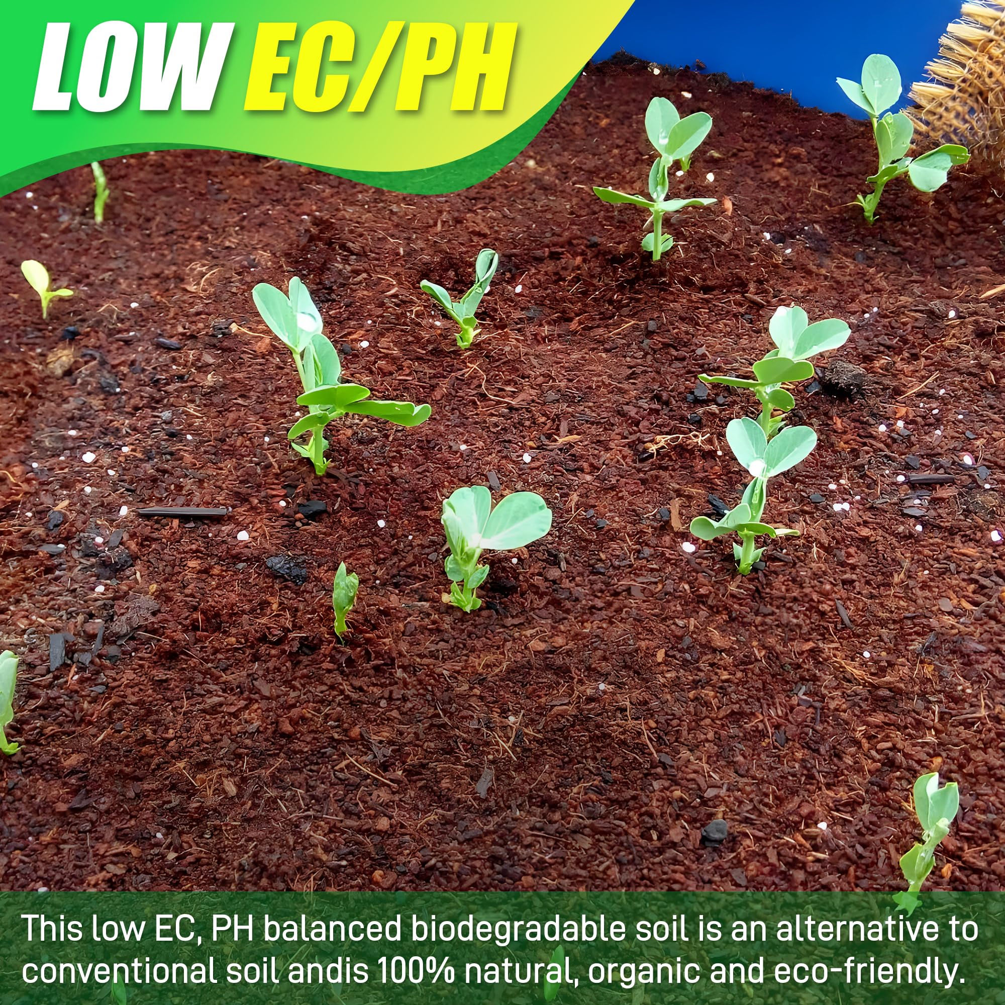 Anothera Coco Coir Brick offers low EC and balanced pH for gentle plant care.