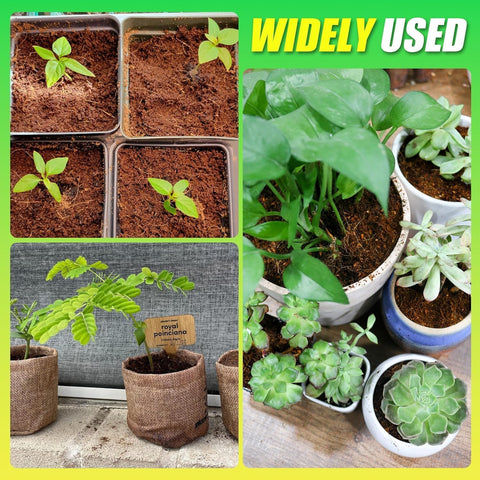 Anothera Coco Coir Bricks are easy to use for beginners and pros.