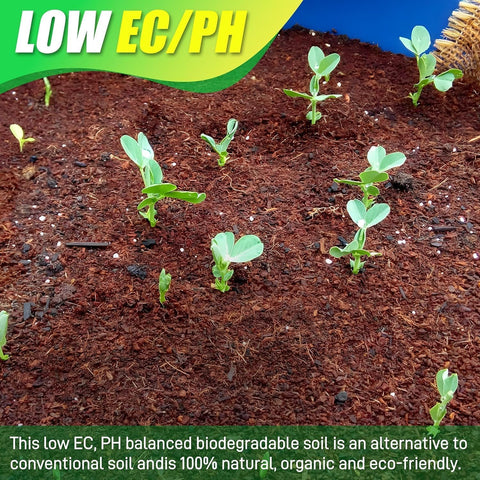 Anothera Coco Coir Bricks support root growth for succulents and vegetables.