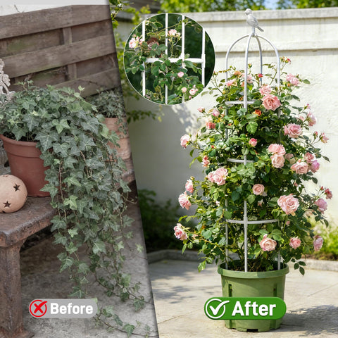 Anothera decorative-rustproof garden obelisk enhances outdoor spaces.