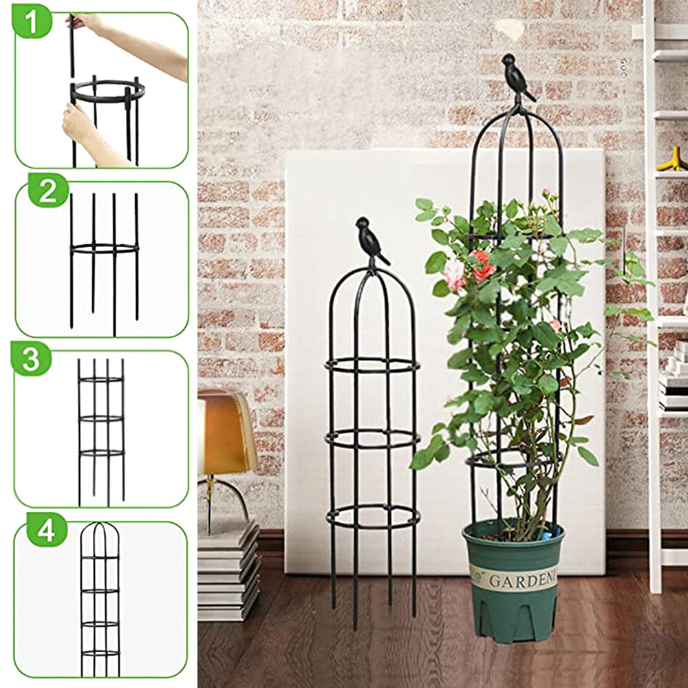 Anothera suitable for indoors or outdoors with potted plants.