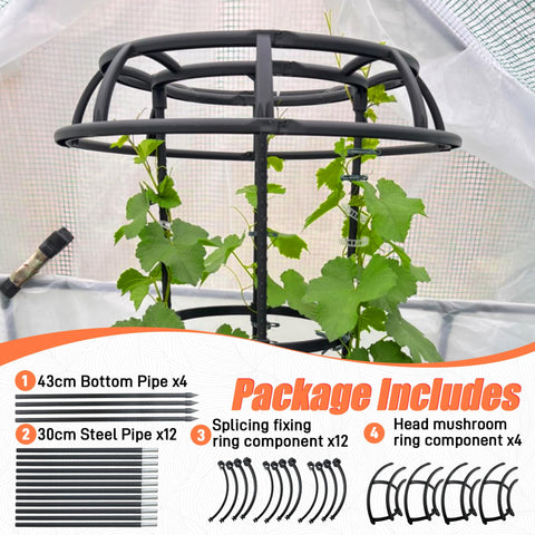 Anothera 65-inch trellis fits indoor or outdoor setups for plant guidance.