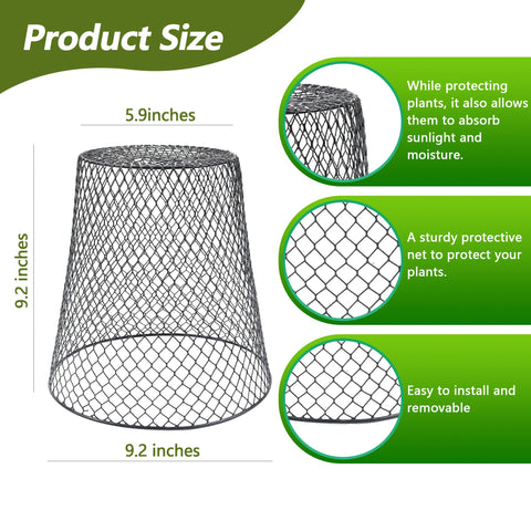 Anothera cloche features open grid design for easy watering