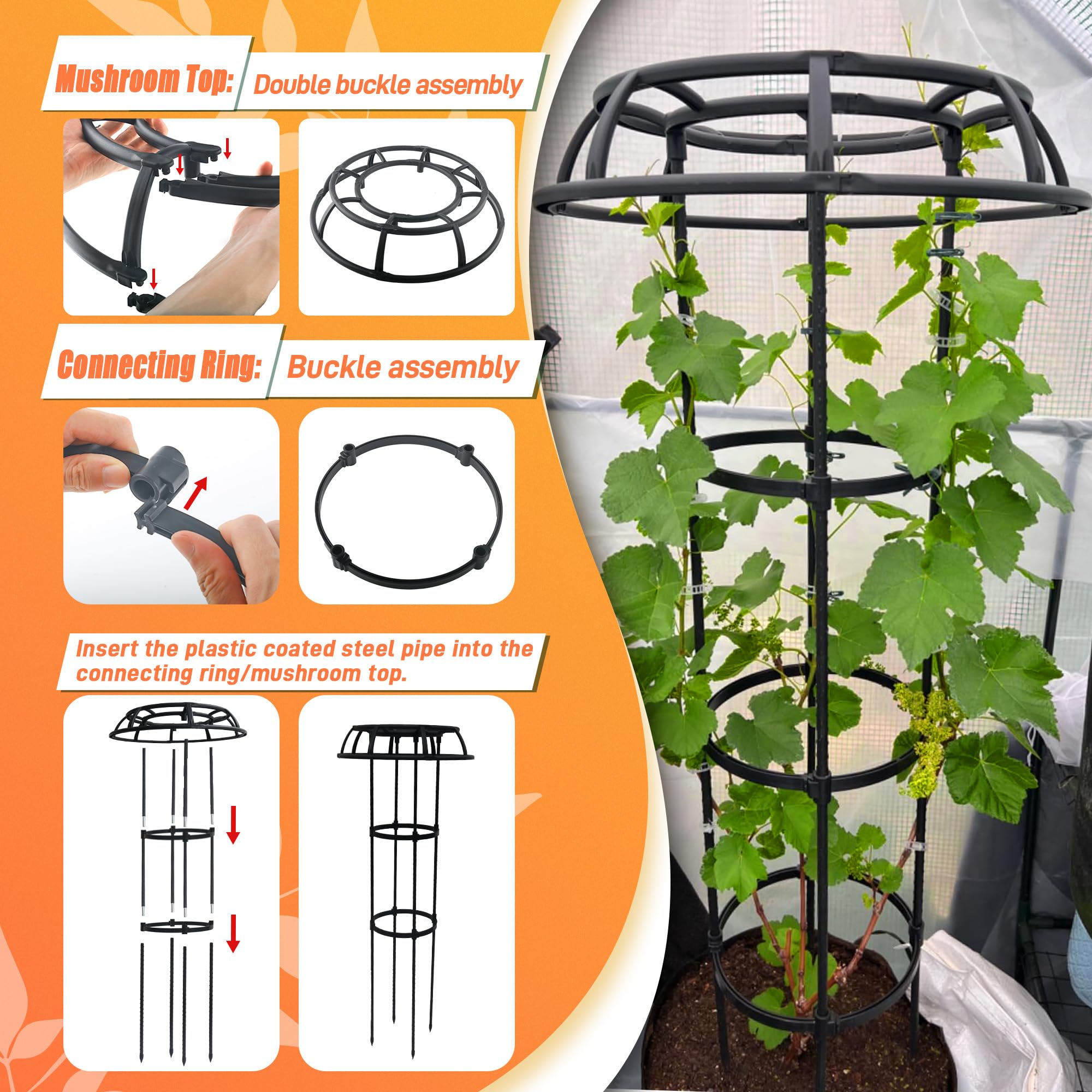 Anothera mushroom-top trellis is easy to assemble and adjust.