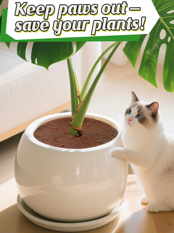 ANPHSIN 3-plant grid cover in pot illustrates pet-proof guarding soil