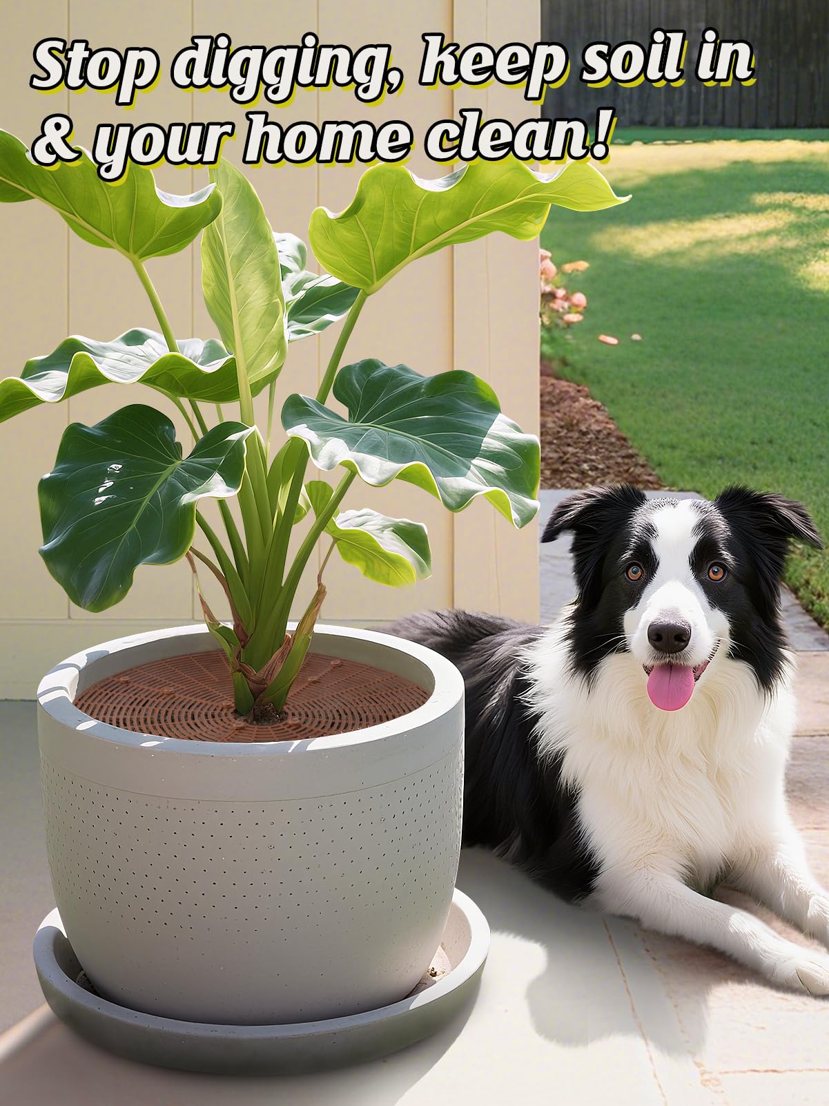 ANPHSIN grid cover deters pets while maintaining soil airflow