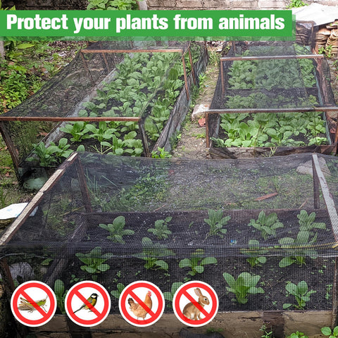 ANPHSIN 33-percent shade rating provides cool shade for plants.