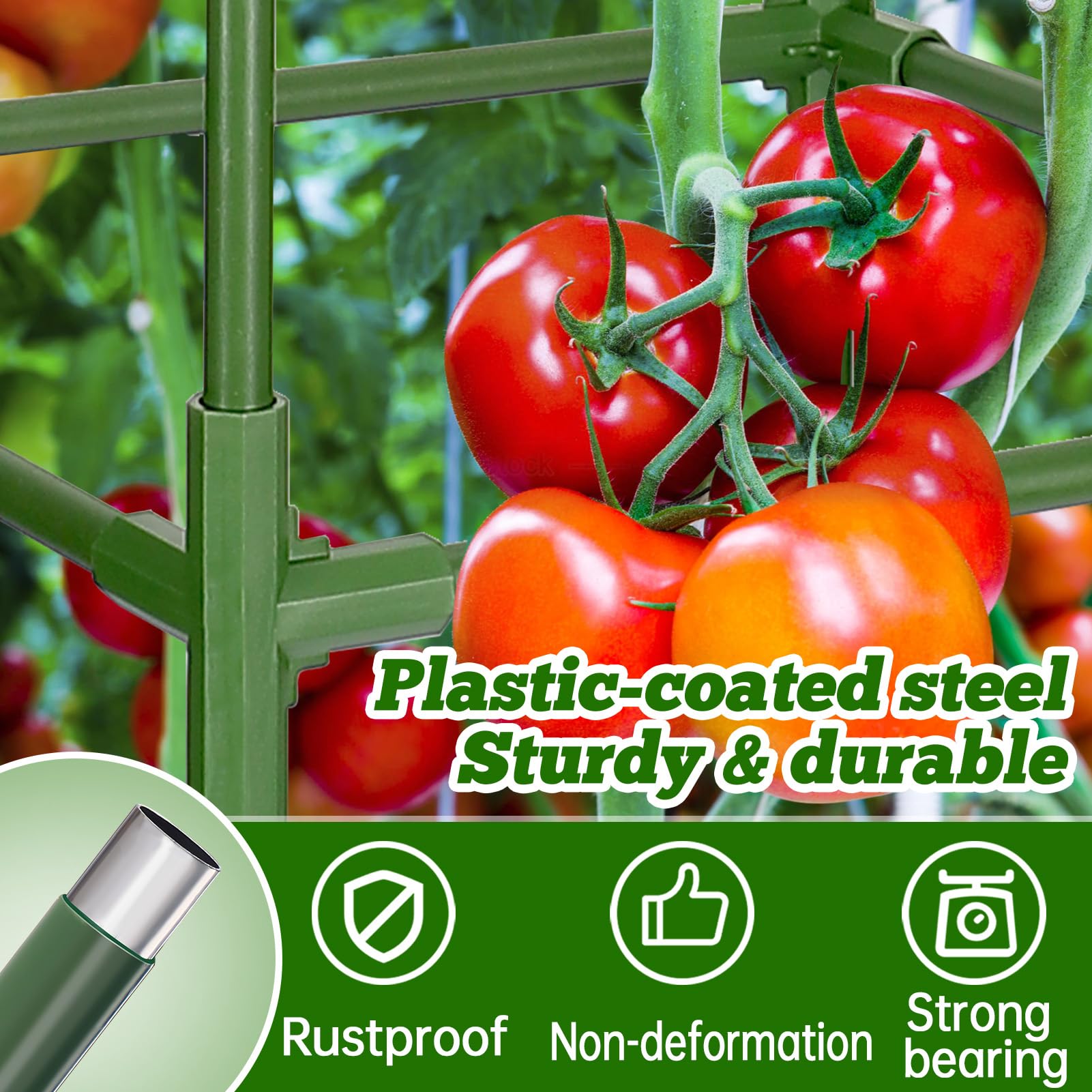 ANPHSIN 47-inch square cages ready for tall tomato plants and peppers
