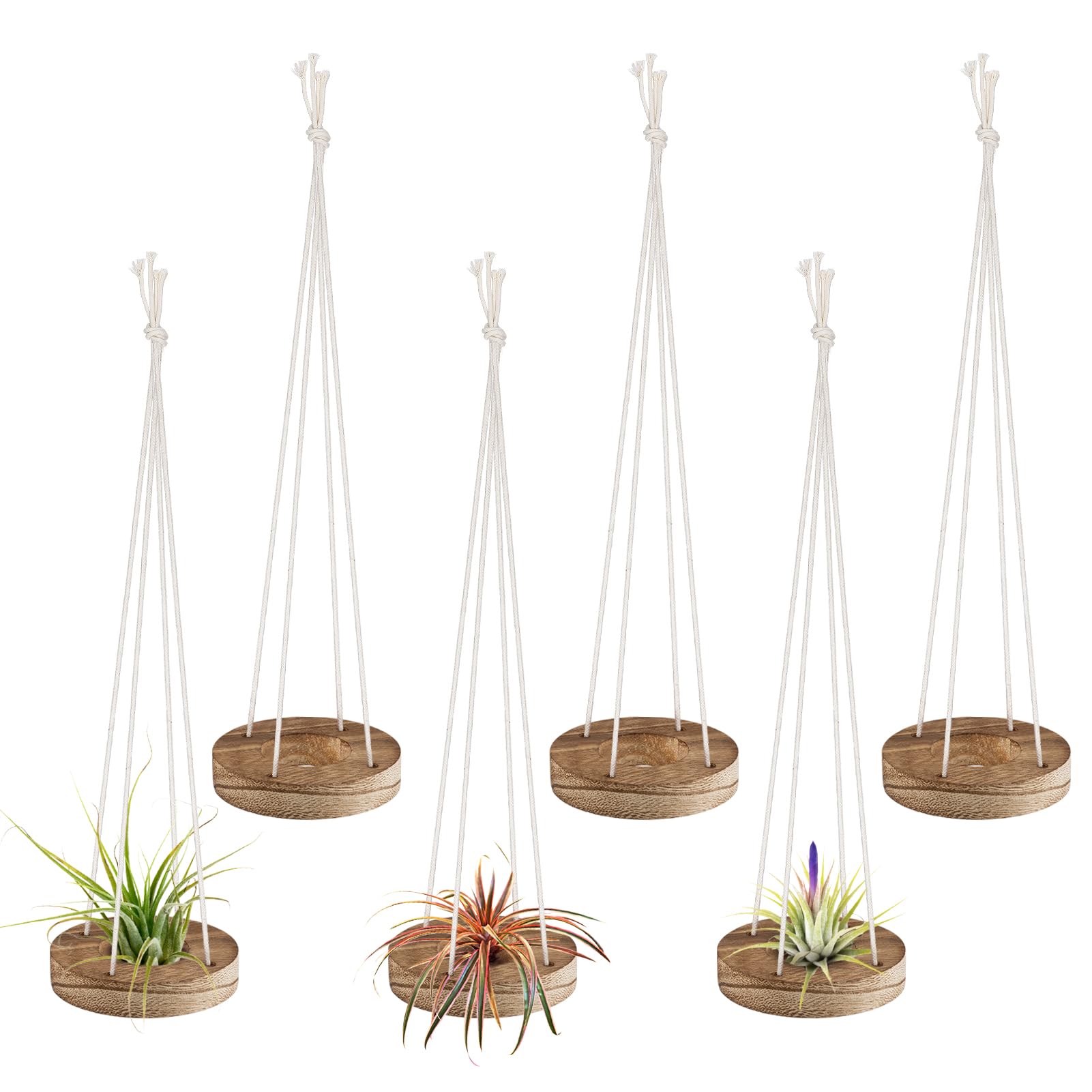 ANPHSIN 6-pack hanging wooden air plant holders pack for stylish home decor.
